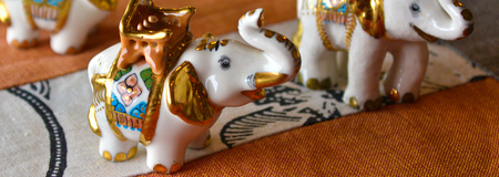 異色のコラボ フット