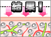 キャビテーション結果